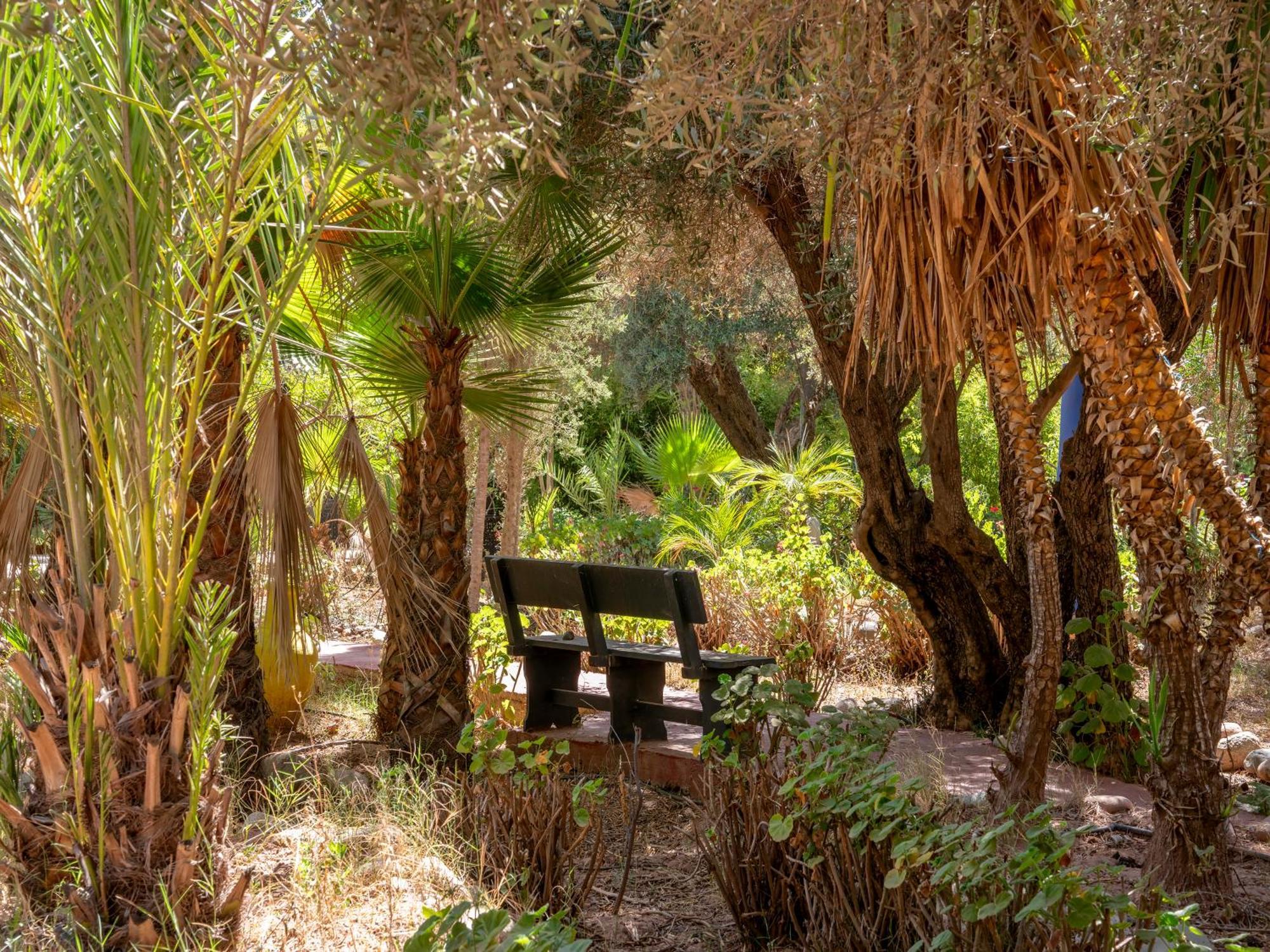 Riad Cle De Sol El Jem'a Ghemat Kültér fotó